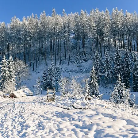 Nyaraló Tiny House Pioneer 5 - Tiny Village Harz