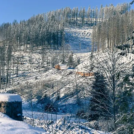 Tiny House Pioneer 5 - Tiny Village Harz