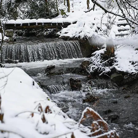 Σπίτι διακοπών Tiny House Pioneer 5 - Tiny Village Harz *